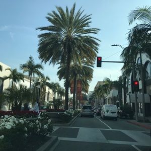 Meet your Posher, Pam